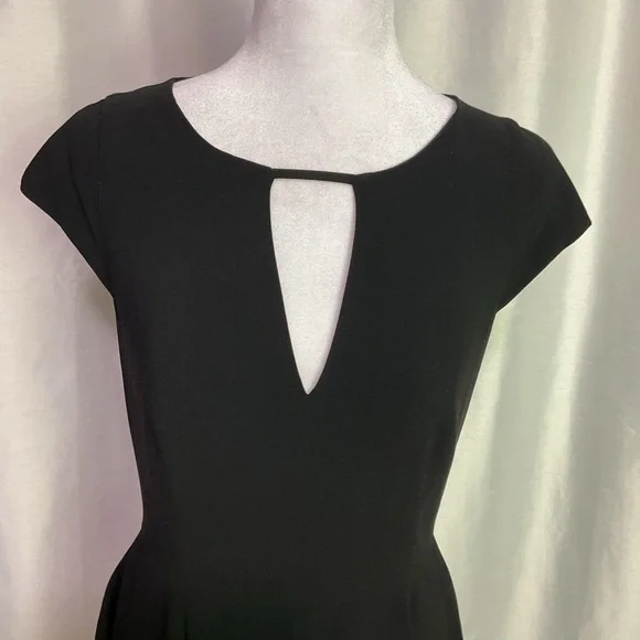 Halston Heritage Fit & Flare Dress